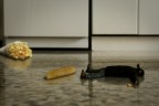 Vita da Insetto #5
