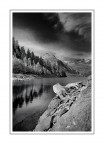 Lac d' co d'lag