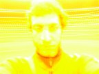 In giallo
