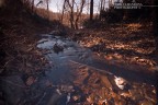 silent river