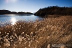 lakescape