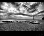 :: Cecina...[01-28]