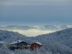 neve