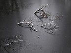 il lago ghiacciato