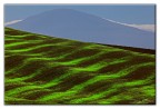 verdi onde