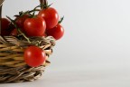 pomodori