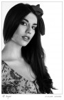 27-11-2010-L1000982