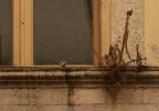 Essere o apparire