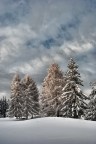 Inverno