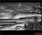 :: Golfo Baratti...[01-31]