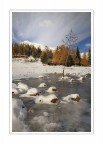 Prima neve