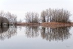 Simmetrie d'acqua
