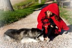 Immagine realizzata per il contest 50.

Modella e stilista: Natalia Giro
Trucco ed acconciatura: Laura Bartolacci
Proprietaria ed educatrice di Janis, siberian husky: Chiara Santarelli

Uno scatto per me difficilissimo dato che pioggia e vento (anche se non si vedono) avevano innervosito l'husky rendendolo ingestibile... si tratta quindi onestamente dello scatto per cos dire meno peggio. :(

Voi che ne pensate? :)