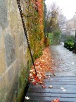 paesaggio autunnale