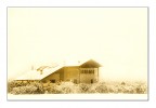 immersa nella neve