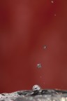 Drops in red