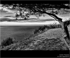 :: Populonia...[01-40]