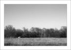 Campagna - bn