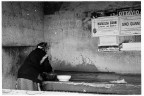 03 coccodrillo (ri) 2010 - kodak tri-x 400