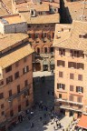 siena siena