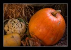 orto autunnale