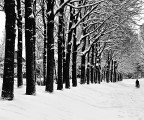 neve 2