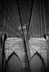 NY net