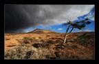 Teguise, Lanzarote - ottobre 2010