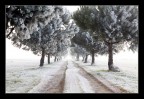 Il viale dell'Ignoto