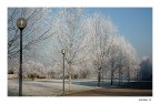 White in the sky