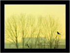 inverno atomico