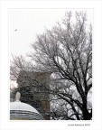 Ricami d'inverno...