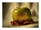 Still life carico