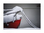 COLD