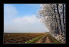 Sole d'inverno