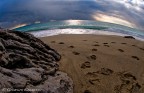 Il mare cancella