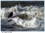 TRA LE ONDE