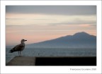 Pastelli Marinari