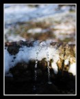 Acqua o ghiaccio?