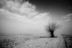 neve e nebbia 2