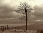 Solitudine