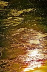oro liquido