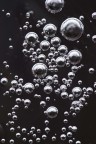 bubbles ice -1