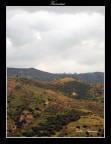 Campagna
