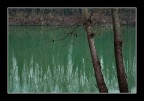 Al fiume#2