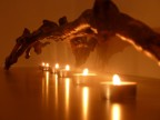 Candele sotto a un ramo secco di edera