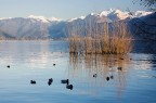 sole di gennaio
