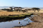 Etiopia
