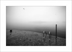 tuffo nell'ignoto