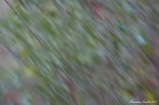 Astrattismo-in-movimento